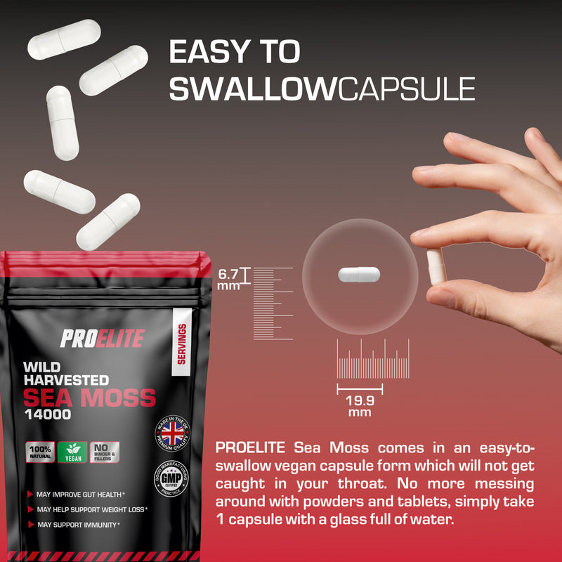 PROELITE Sea Moss Vegan Capsules