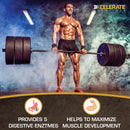 XCelerate Nutrition Perform Lean Mass Gainer