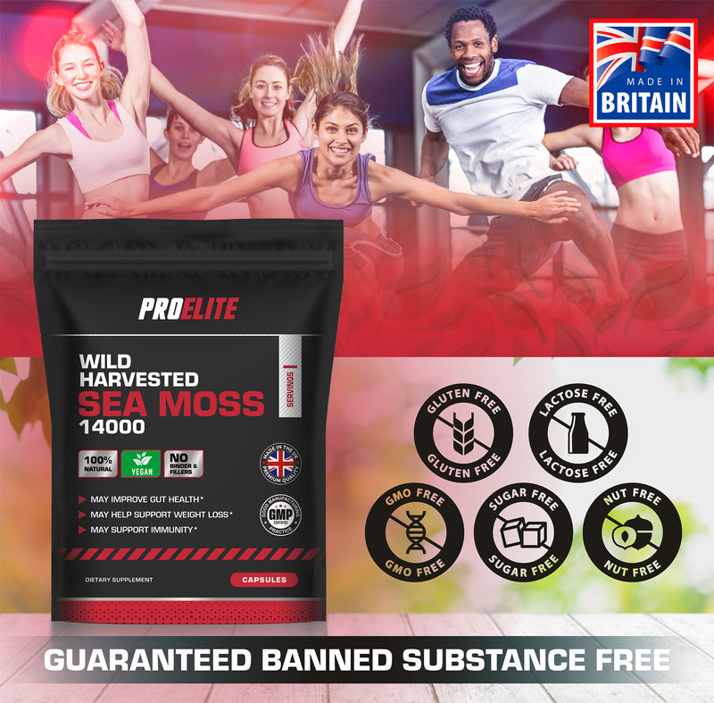 PROELITE Sea Moss Vegan Capsules