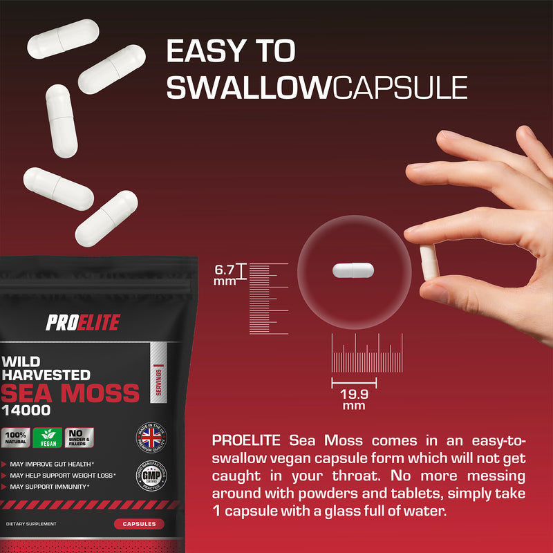 PROELITE Sea Moss Vegan Capsules