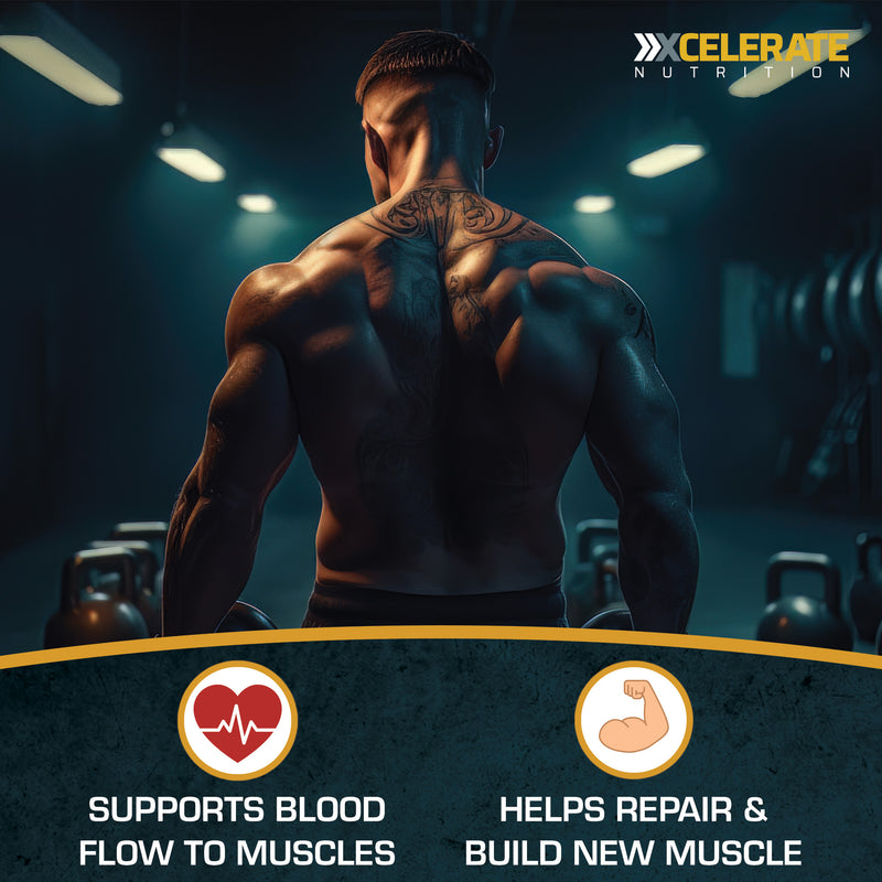 XCelerate Nutrition AAKG Powder