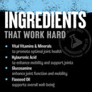 Animal Flex 44 Packs Capsules