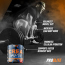 PROELITE Creatine Monohydrate 300g