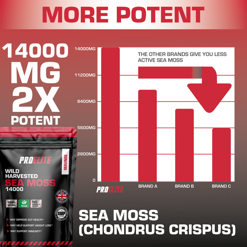 PROELITE Sea Moss Vegan Capsules