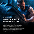 MuscleTech Platinum 100% Micronized Creatine 400g