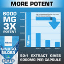 PSN Ginkgo Biloba Tablets