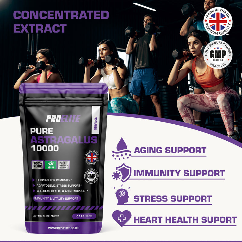 PROELITE Astragalus Capsules