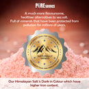 Pure Source Nutrition Himalayan Pink Salt Fine - Bucket