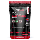 PROELITE Sea Moss Vegan Capsules