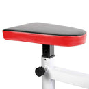 TnP Accessories Preacher Curl Bench Red/Black XQCB -02-Benches & Multigyms-londonsupps